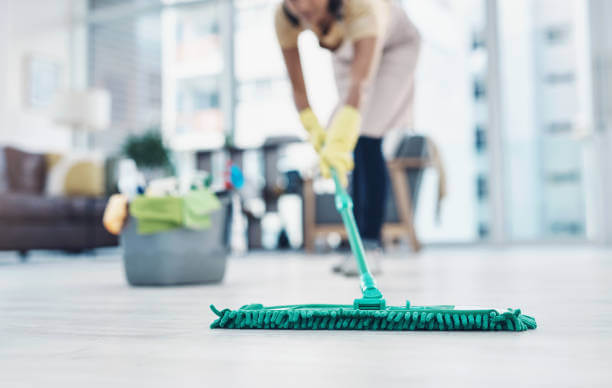maid cleaning Home